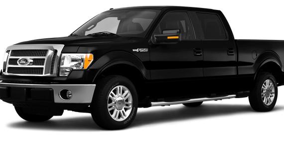 FORD F-150 2010 1FTEW1C89AFC49746 image