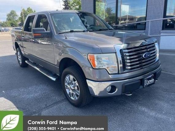 FORD F-150 2010 1FTFW1EV4AFC30335 image