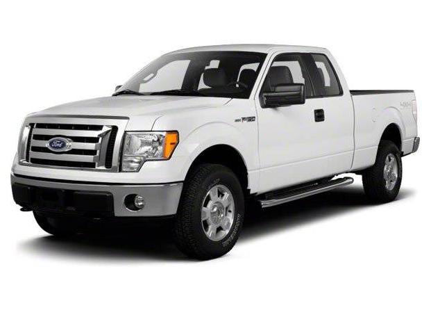 FORD F-150 2010 1FTFX1EV3AFD31413 image