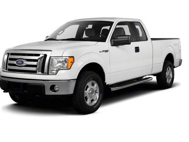 FORD F-150 2010 1FTEX1E86AFC80737 image