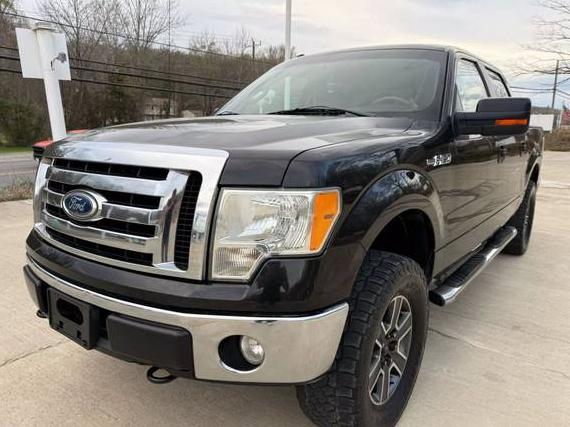 FORD F-150 2010 1FTFW1EV4AFD51544 image