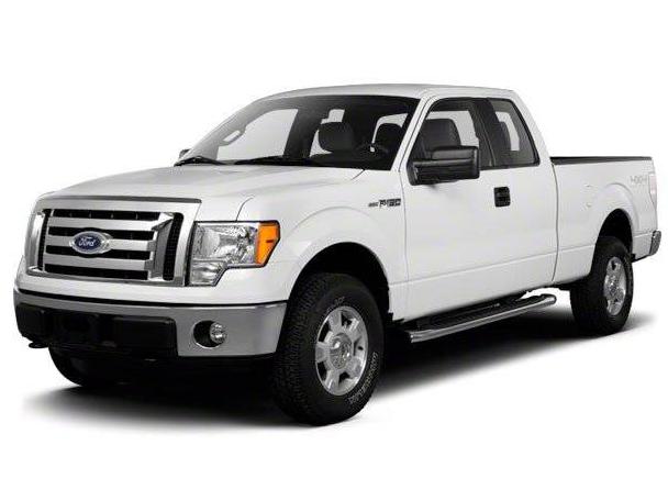 FORD F-150 2010 1FTEX1E60AFC91070 image