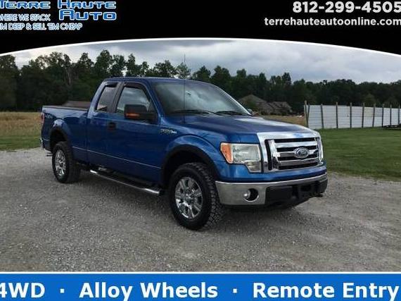 FORD F-150 2010 1FTEX1E83AFA06699 image