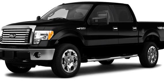 FORD F-150 2010 1FTFW1EV2AFD94294 image