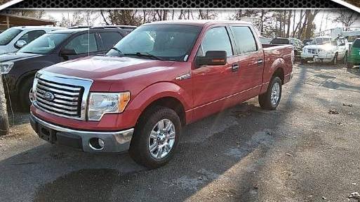 FORD F-150 2010 1FTFW1CV1AFD49950 image