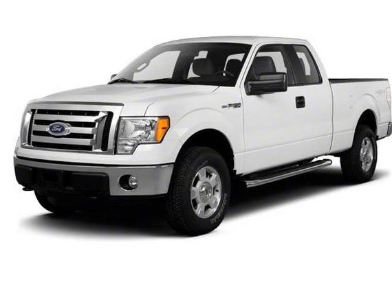 FORD F-150 2010 1FTEX1CW6AFD95209 image