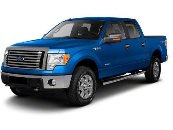 FORD F-150 2010 1FTFW1EV7AFA23907 image