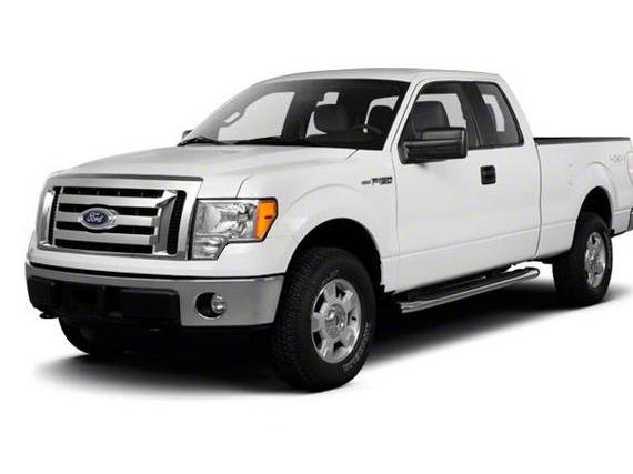 FORD F-150 2010 1FTEX1EWXAFD53655 image