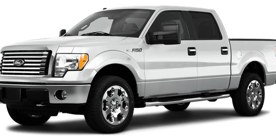 FORD F-150 2010 1FTEW1E86AFC11792 image
