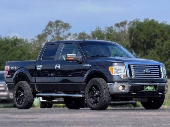FORD F-150 2010 1FTFW1EVXAFD43318 image
