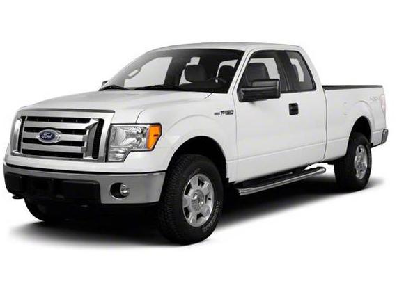 FORD F-150 2010 1FTEX1EV2AFD19054 image