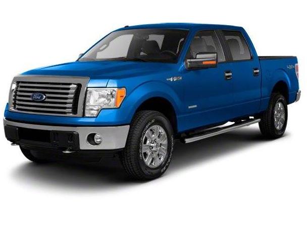 FORD F-150 2010 1FTFW1EV8AFC93261 image