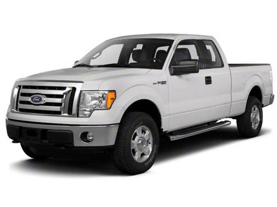 FORD F-150 2010 1FTEX1C88AKE74518 image