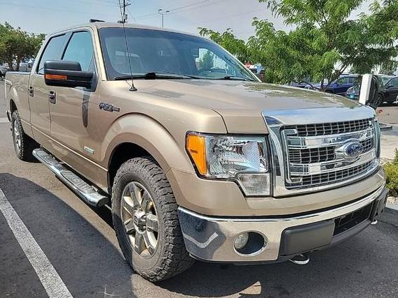FORD F-150 2014 1FTFW1ET6EFC33659 image