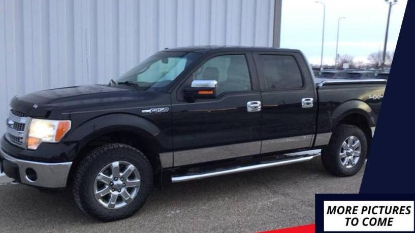 FORD F-150 2014 1FTFW1EF9EFB09976 image