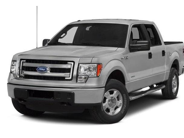 FORD F-150 2014 1FTFW1EF8EFC32264 image