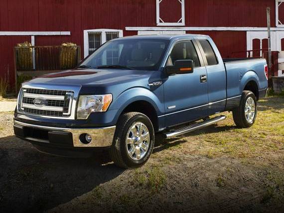 FORD F-150 2014 1FTMF1CM2EKD98411 image