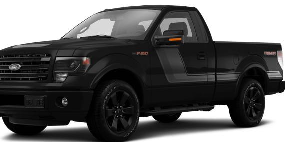 FORD F-150 2014 1FTMF1CM5EFB00829 image