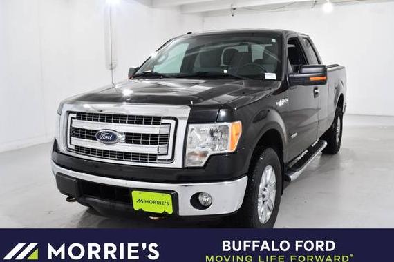 FORD F-150 2014 1FTFX1ET4EKD45459 image