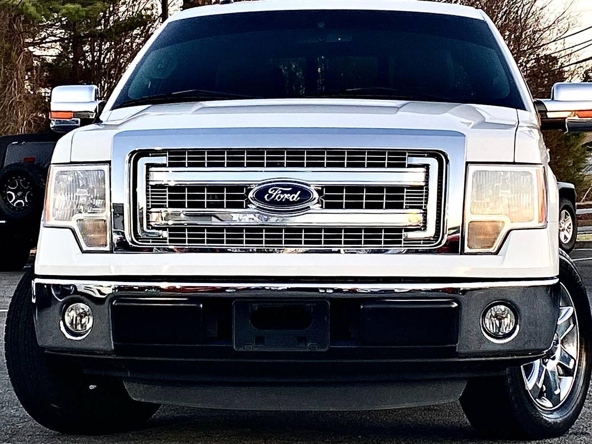 FORD F-150 2014 1FTFW1CF8EFA41933 image