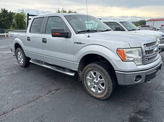 FORD F-150 2014 1FTFW1ET7EKG43913 image