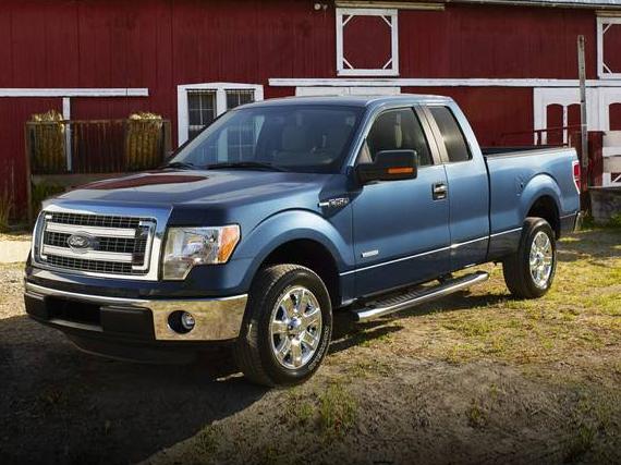 FORD F-150 2014 1FTFX1CF0EKD44306 image