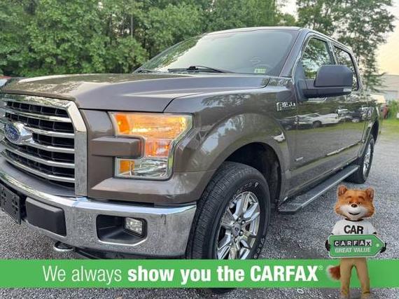 FORD F-150 2015 1FTEW1EG6FFB21301 image