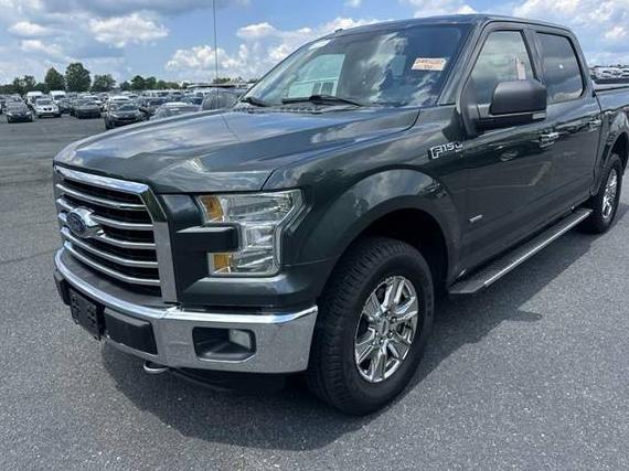 FORD F-150 2015 1FTEW1EP3FFC50399 image