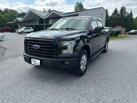 FORD F-150 2015 1FTEW1EF7FFC82053 image