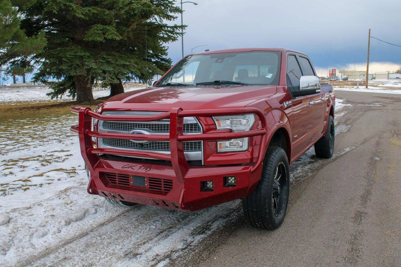 FORD F-150 2015 1FTEW1EG0FFB91408 image