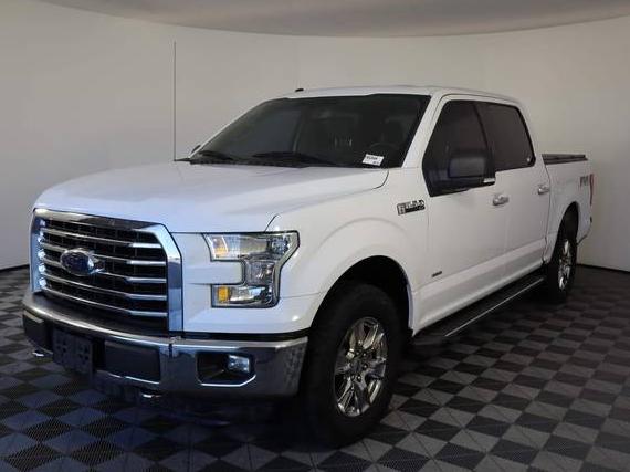 FORD F-150 2015 1FTEW1EP5FKE24691 image