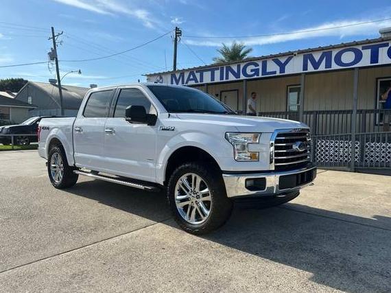 FORD F-150 2015 1FTEW1EP4FKF17105 image