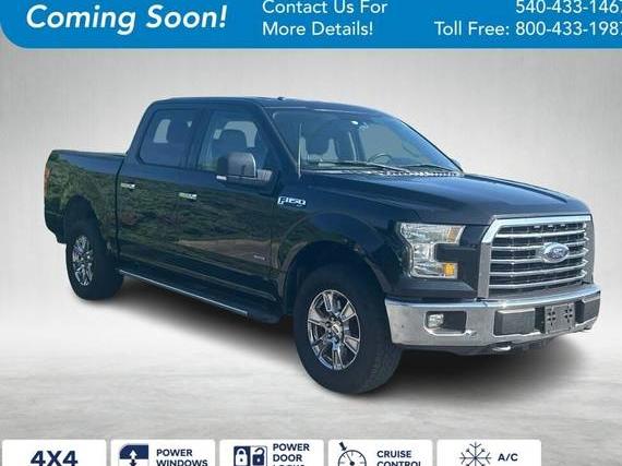 FORD F-150 2015 1FTEW1EG5FFC10390 image