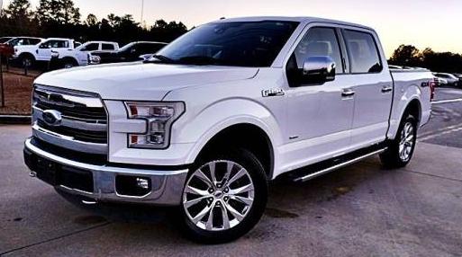 FORD F-150 2015 1FTEW1EG3FFA54415 image