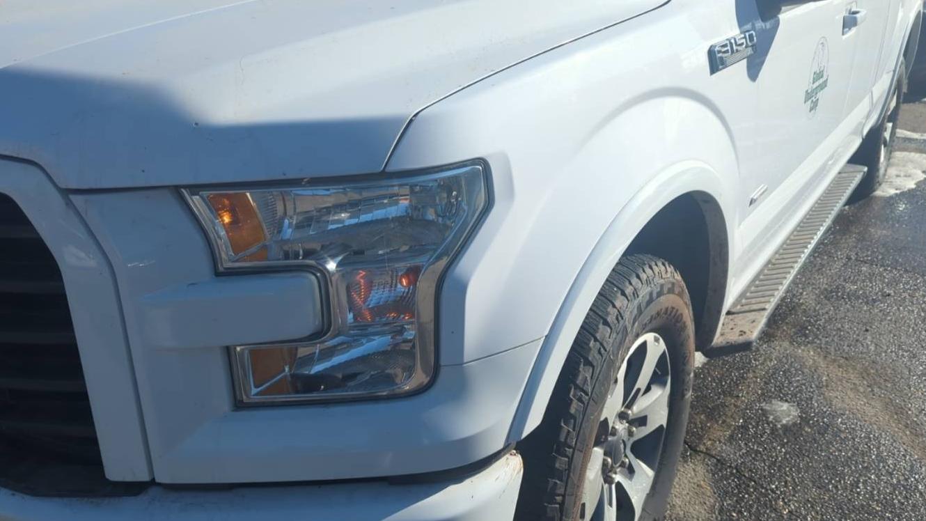 FORD F-150 2015 1FTEX1EP0FKE40293 image