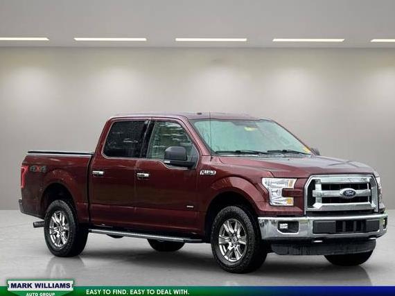FORD F-150 2015 1FTEW1EG6FFA09288 image