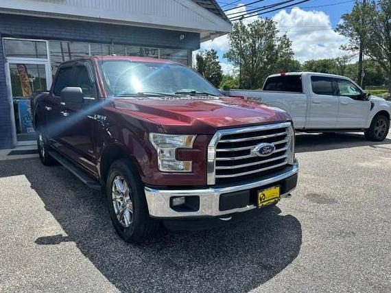 FORD F-150 2015 1FTEW1EG1FFC97057 image