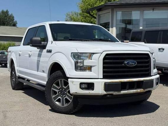 FORD F-150 2015 1FTEW1EP3FKE49895 image