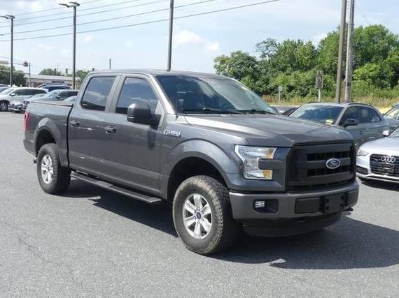 FORD F-150 2015 1FTEW1EF2FKF20415 image