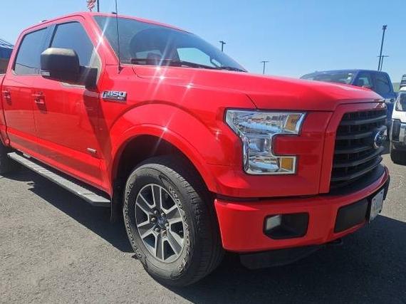 FORD F-150 2015 1FTEW1EG7FKD80063 image