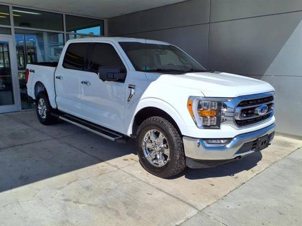 FORD F-150 2022 1FTFW1E51NFB49962 image