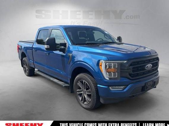 FORD F-150 2022 1FTFW1E85NFC29548 image