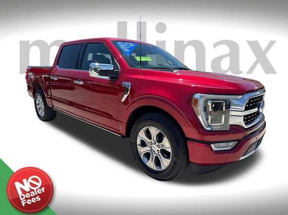 FORD F-150 2022 1FTEW1C52NFB92320 image