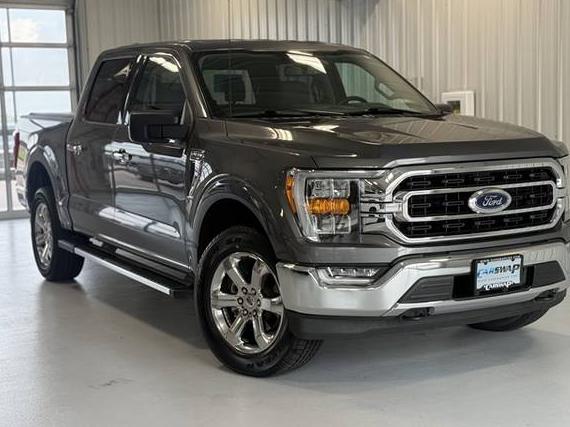 FORD F-150 2022 1FTFW1E81NFB59272 image