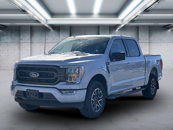 FORD F-150 2022 1FTEW1EP8NKD30979 image