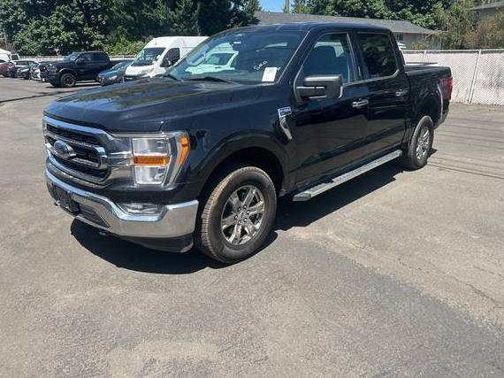 FORD F-150 2022 1FTEW1EP1NFA90098 image