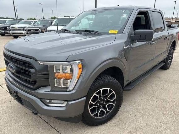 FORD F-150 2022 1FTEW1EP1NKD31262 image
