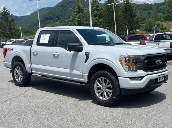 FORD F-150 2022 1FTFW1E83NKD67404 image