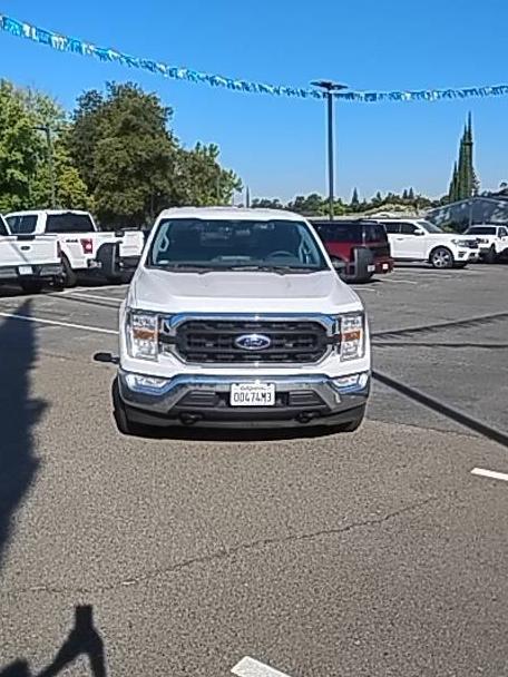 FORD F-150 2022 1FTEW1EP8NKD64565 image