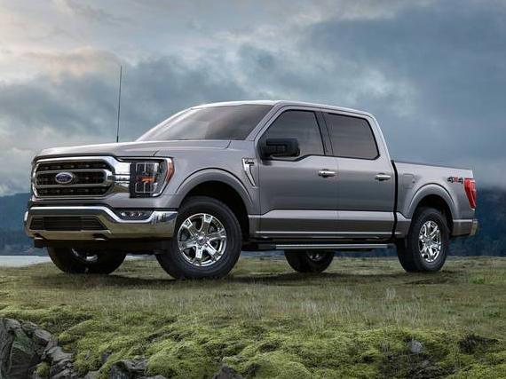 FORD F-150 2022 1FTEW1EP5NKD88984 image